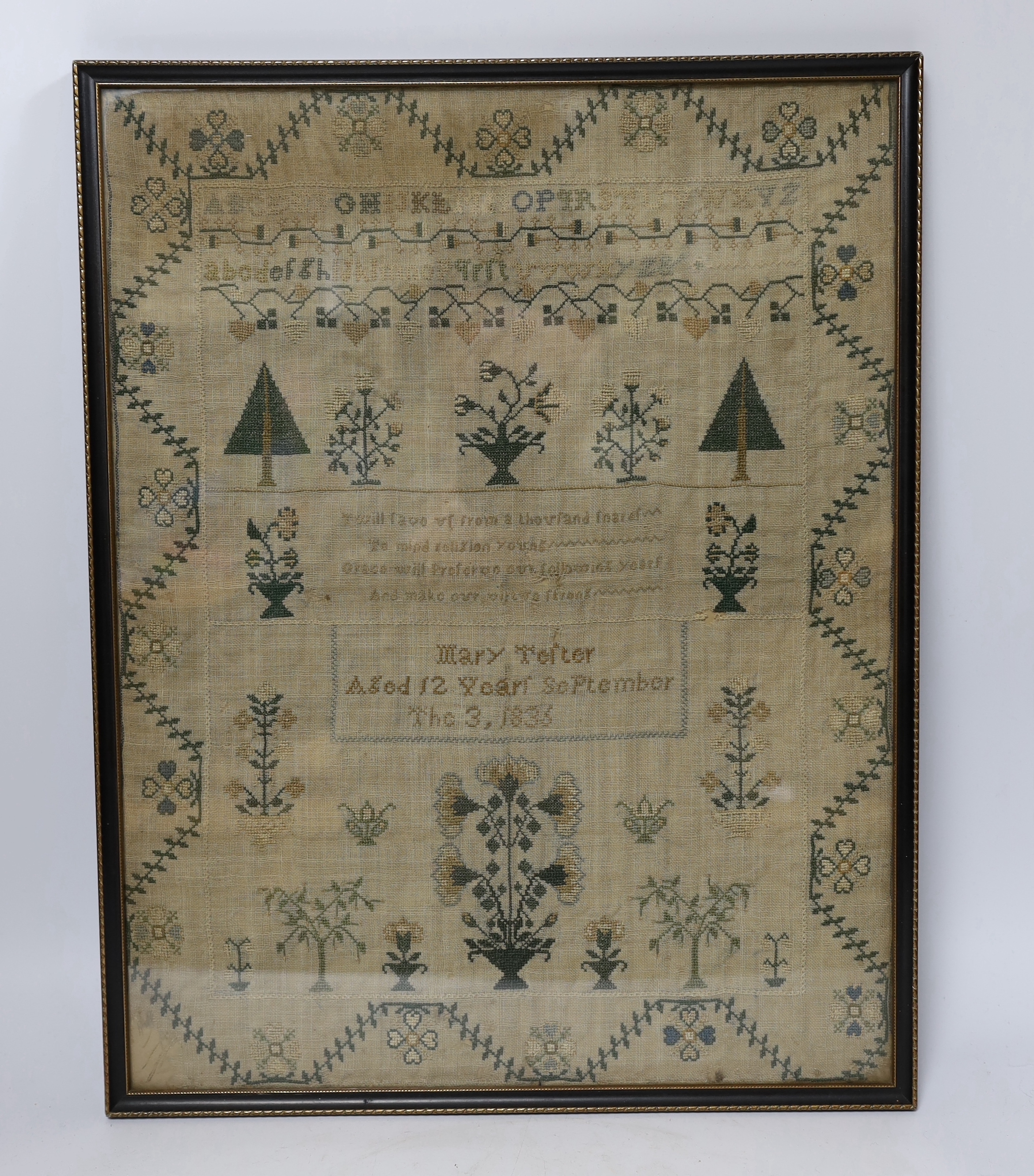 A framed William IV sampler, by Mary Telter, aged 12 years September the 3, 1833, with alphabet, religious verse, tree and floral spot embroidery all within an embroidered border, sampler 32cm wide x 41.5cm high